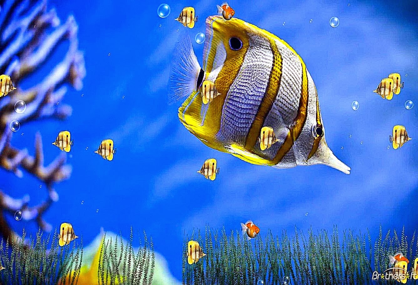 3D Wallpapers For Desktop Free Download With Animation For Windows 3D Wallpapers For Desktop Free Download With Animation For Windows