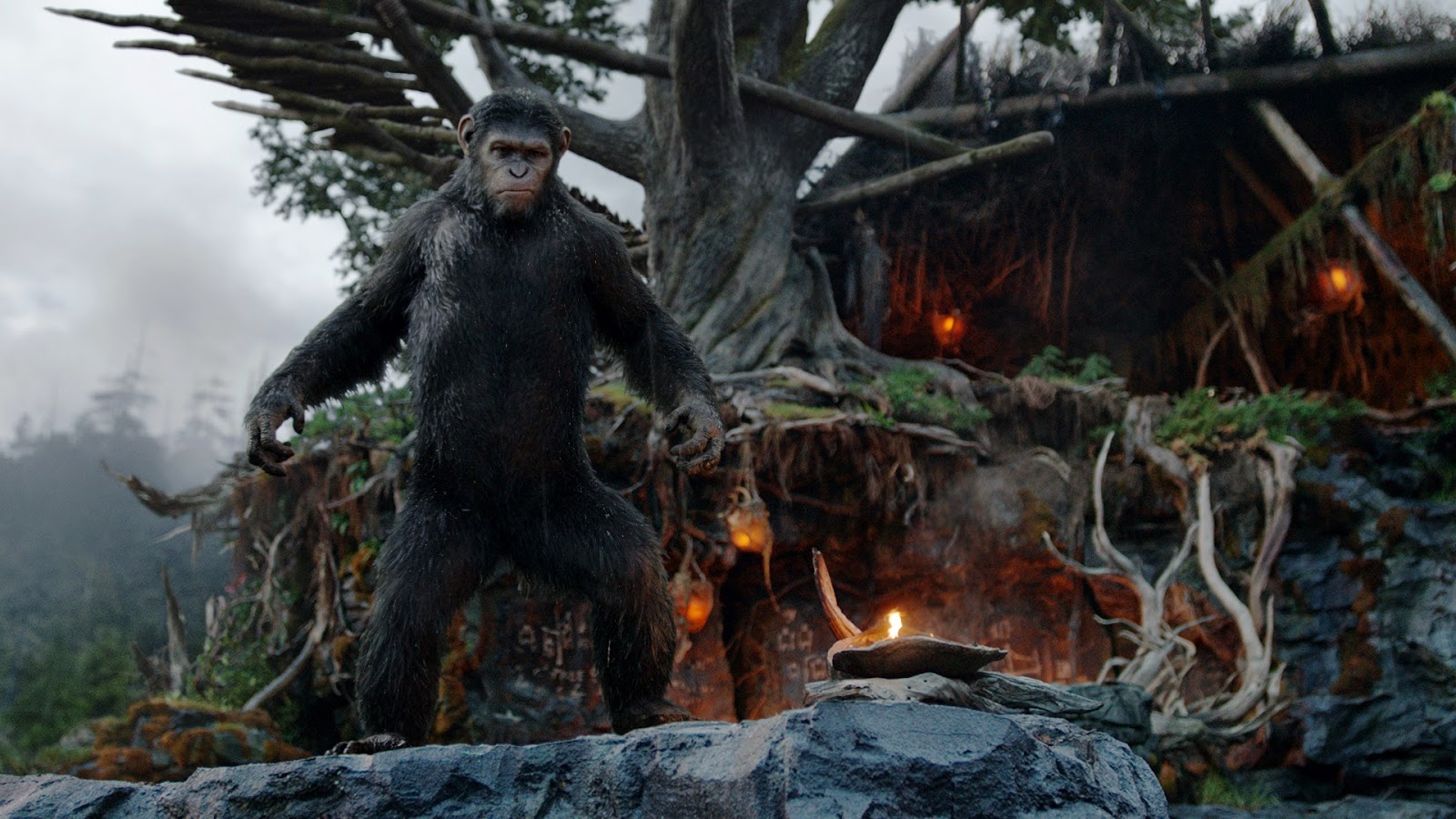 Dawn Of The Planet Of The Apes 1080P Search Results