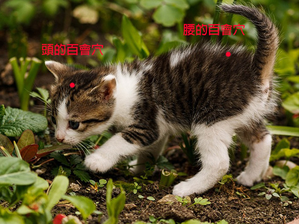 奴才啊~你摸得真好! 奴才啊~你摸得真好!