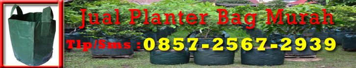 Jual PlanterBag Murah | 085600005195