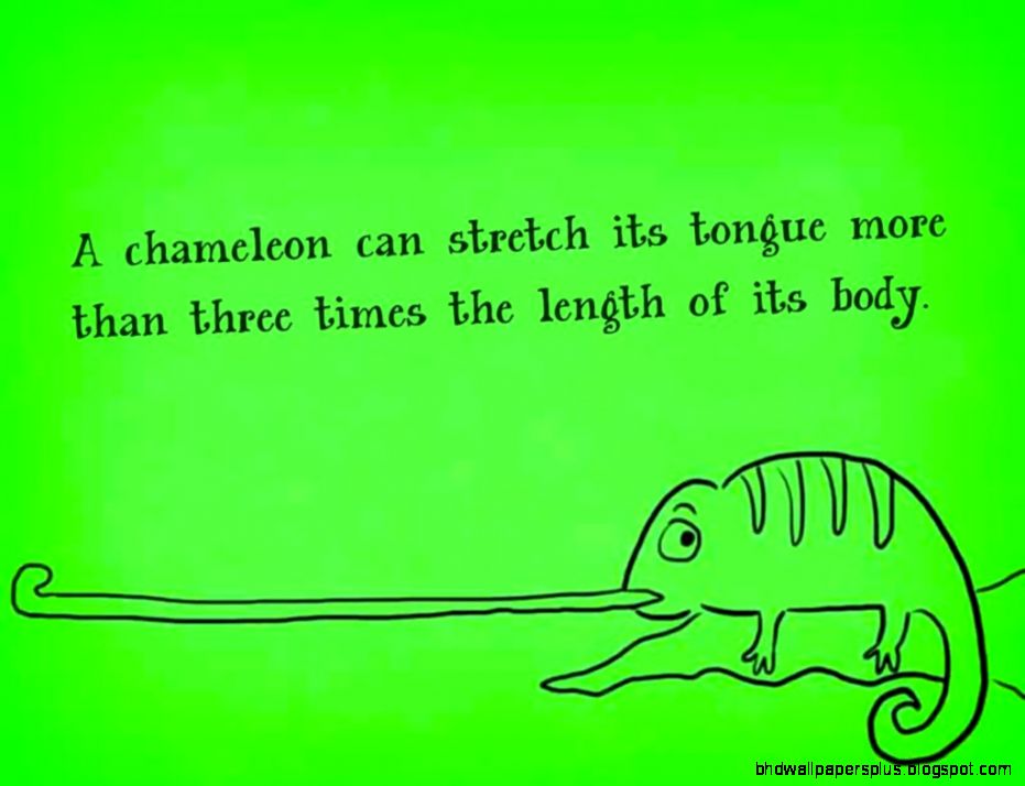 Review A Fact Every Day – 365 Fun Facts for Kids for iPad iPad Review A Fact Every Day – 365 Fun Facts for Kids for iPad iPad