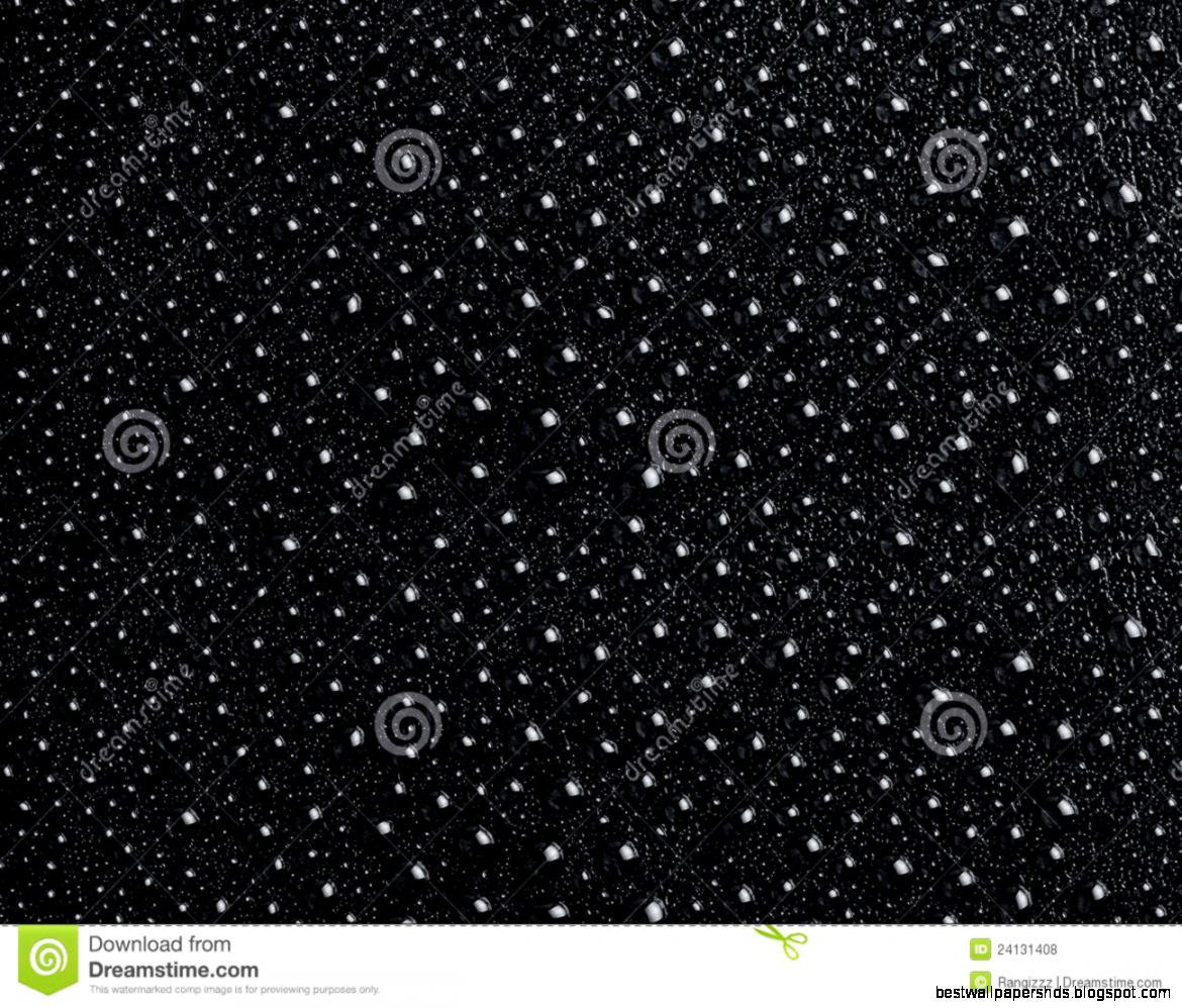 No Water Drop Black Background No Water Drop Black Background