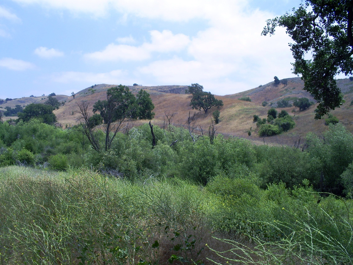 Time traveling in Calabasas, California History Adventuring