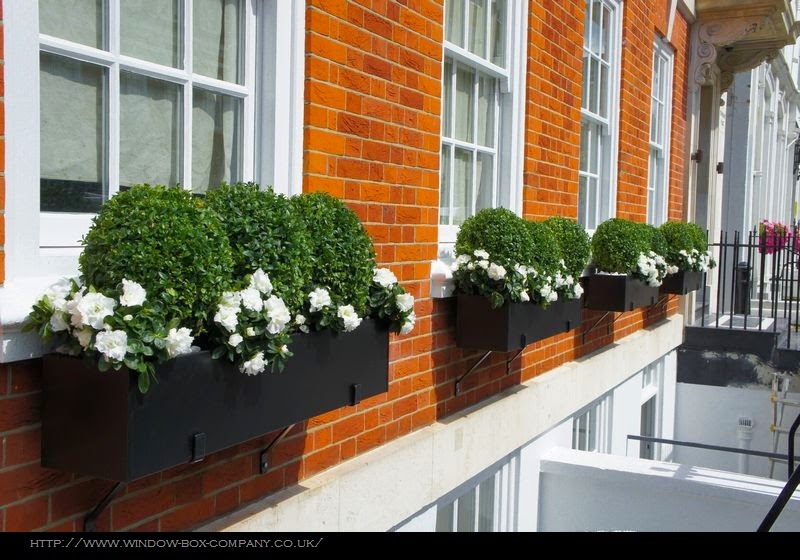 Renée Finberg ' TELLS ALL ' in her blog of her Adventures in Design