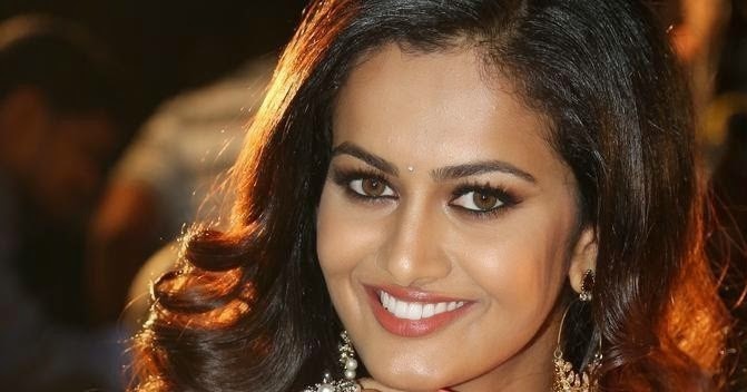 Shubra Aiyappa In Pink Half Saree Gallery