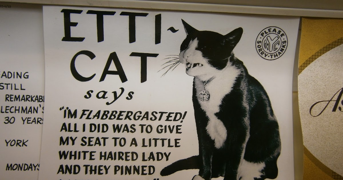 City Kitties EttiCat