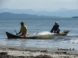 Pescadores de Tainha