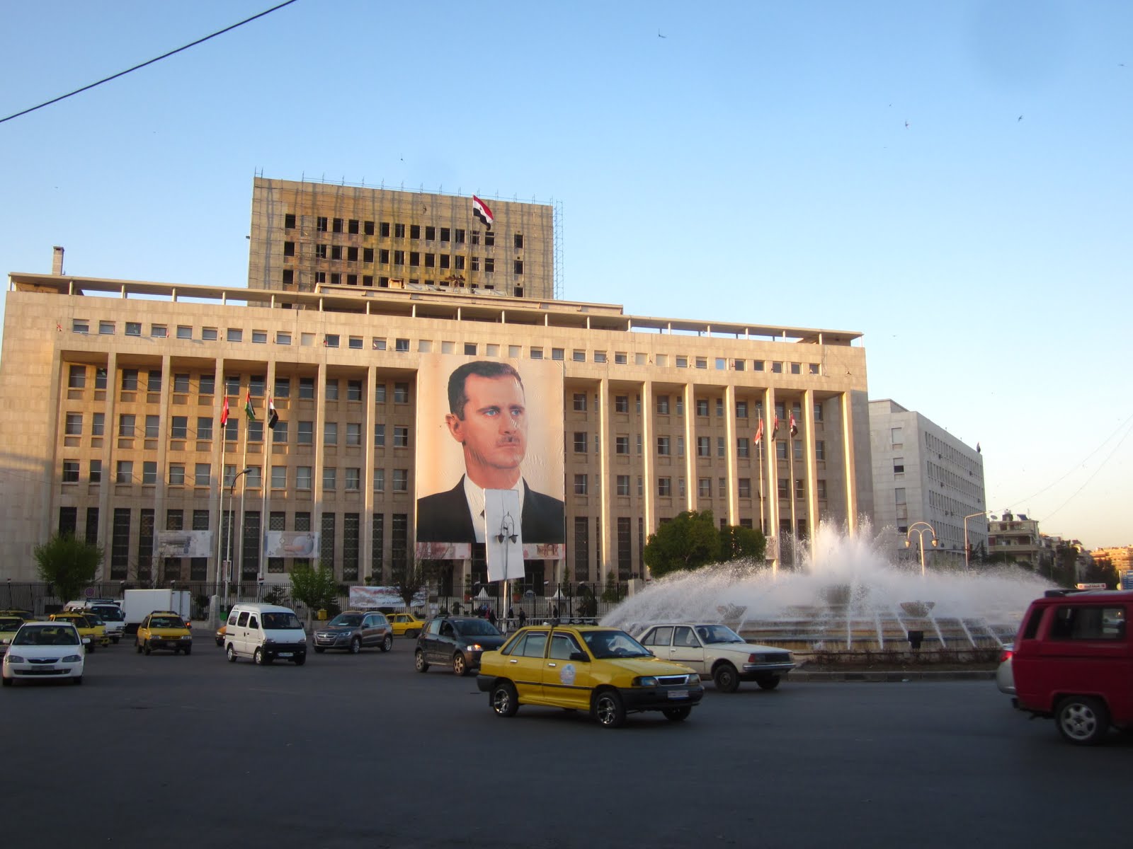 You're here too, oh palm, on this foreign soil... A Friend and Two New