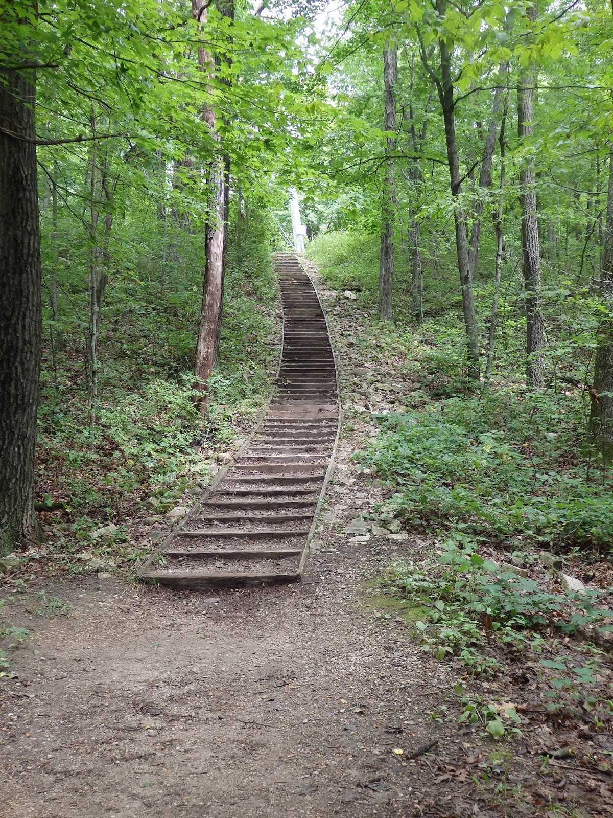 2 On the Road Kettle Moraine State Forest North Unit in Wisconsin