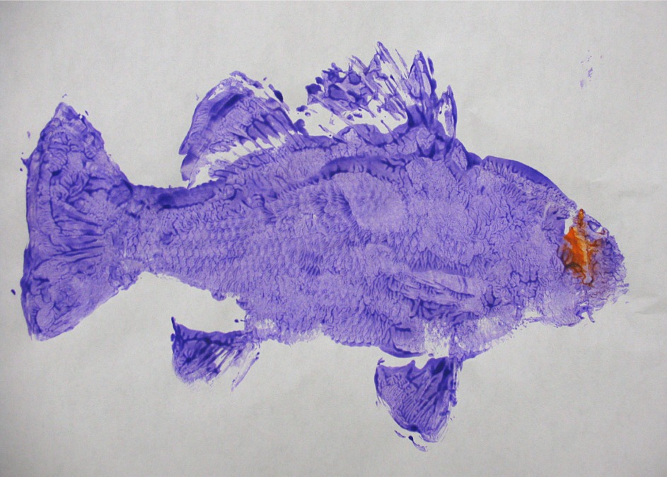 The David Lubin Art Studio: Fish Prints