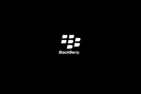 Blackberry Wall
