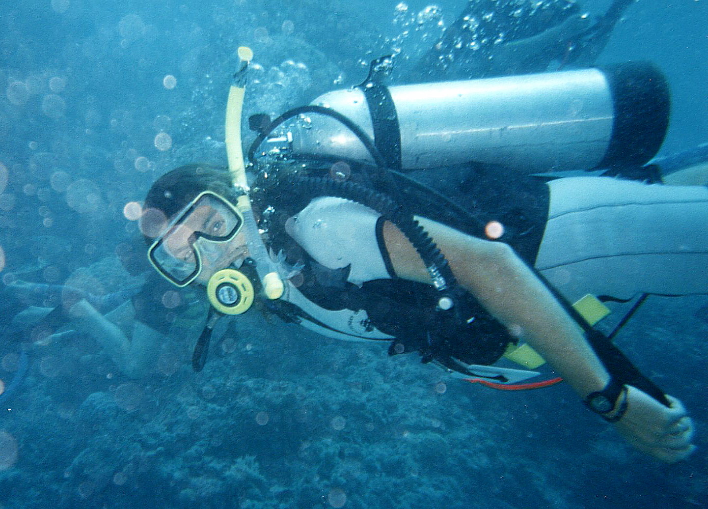 Airlie Beach Travel guide