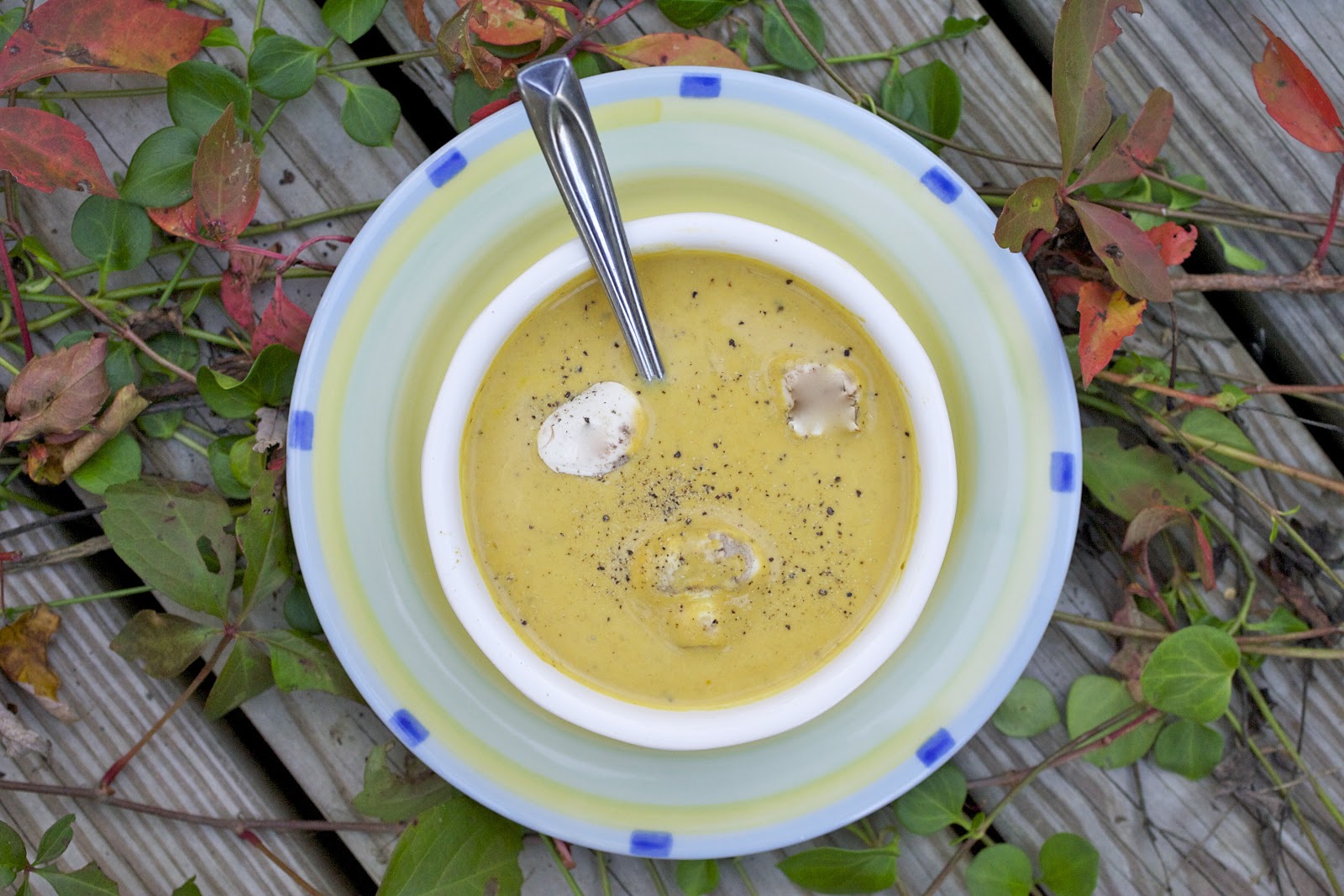 Bake It and Make It with Beth Curried Pumpkin Mushroom Soup
