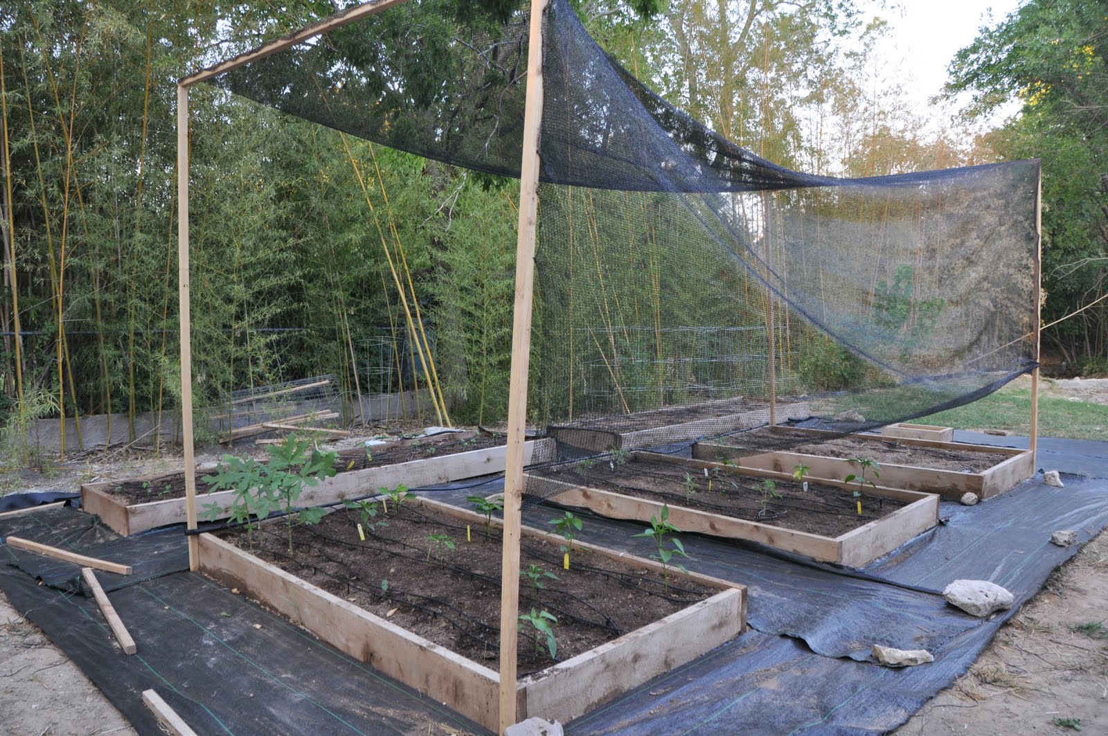 UPROOTED BAMBOO FARM Shade Cloth Savior