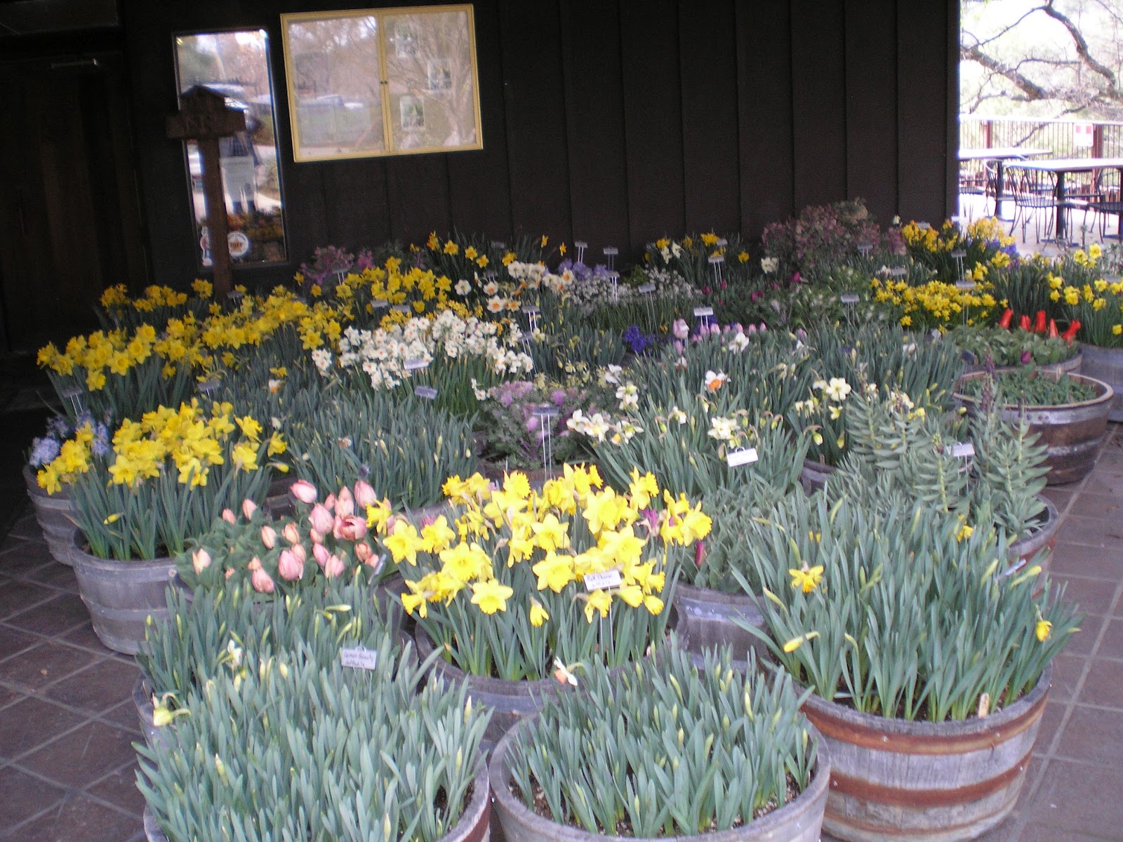 Another Big Storm! Under Cover! Ironstone Gardens