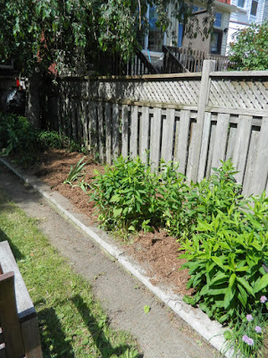 Toronto Riverdale back yard garden cleanup after by Paul Jung Gardening Services