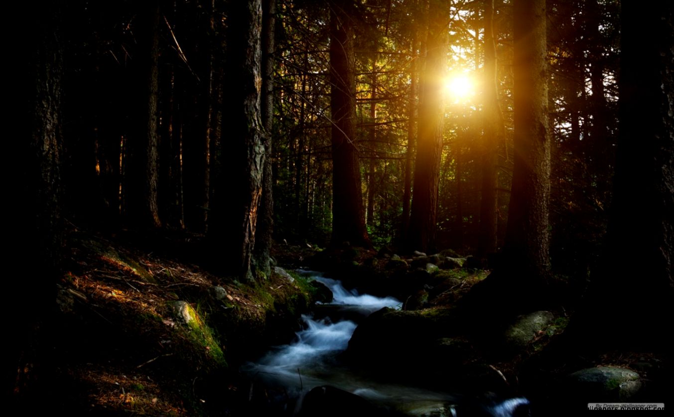 Free Wallpaper Free Nature wallpaper Windows 7 Themes Free Wallpaper Free Nature wallpaper Windows 7 Themes
