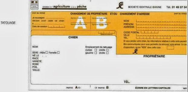 Clinique vétérinaire des Dunes: Les chiens de catégorie Clinique vétérinaire des Dunes: Les chiens de catégorie