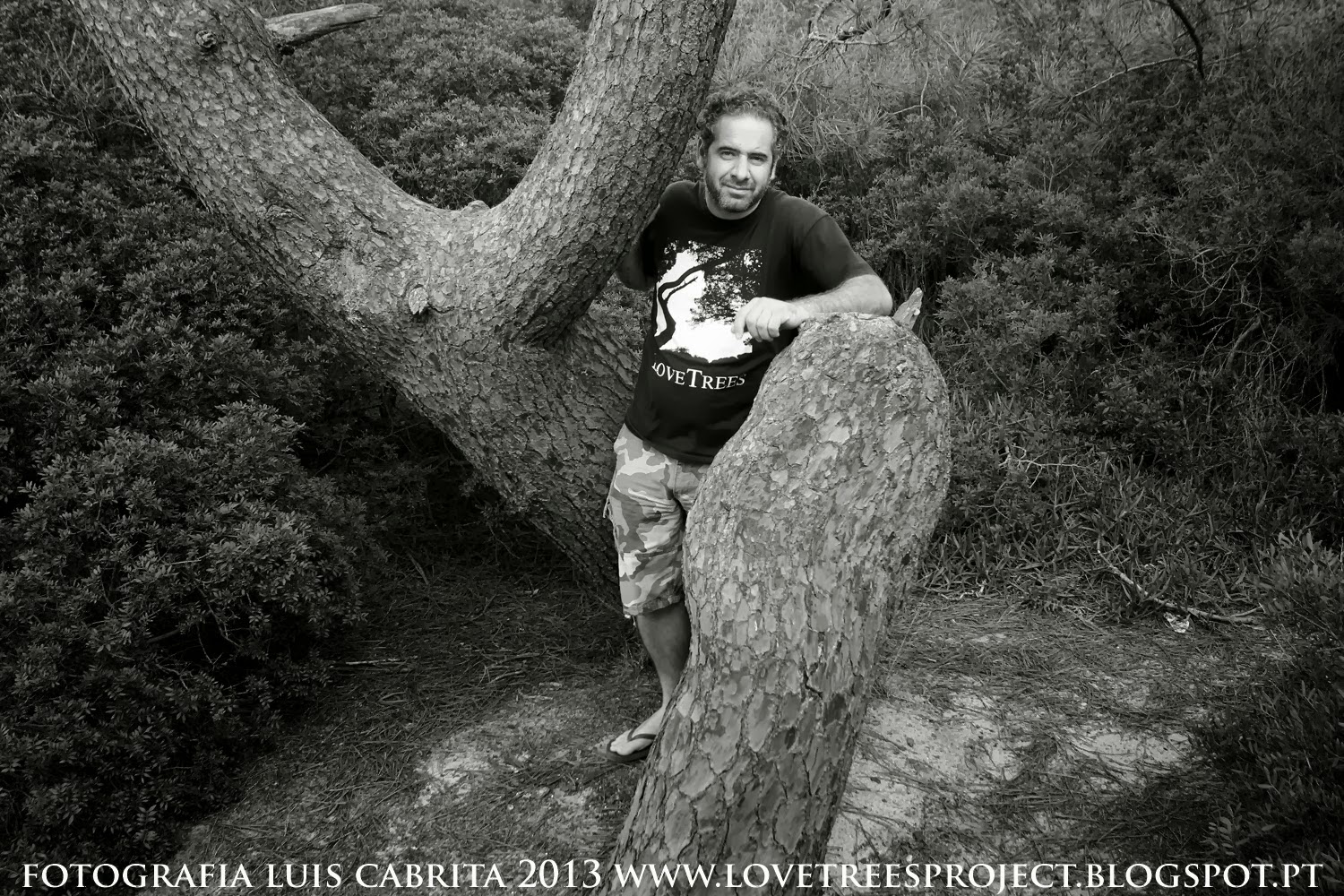 Zito Colaço com a "Alien Tree" da Mata dos Medos.