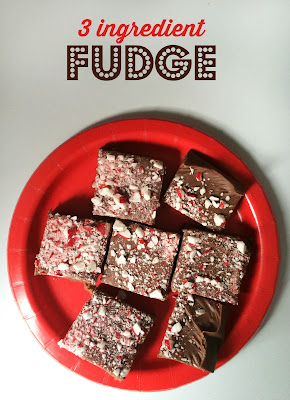 fudge, Christmas treat, chocolate, candy cane, treat, sugar
