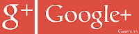 Google+ Logo Text Font and Color Used
