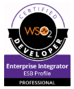 WSO2 Certified Enterprise Integrator 6.3 Developer - ESB Profile