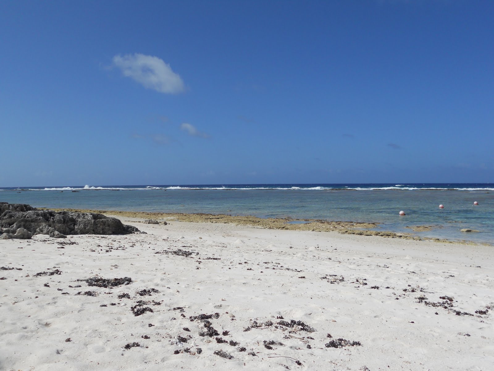 Tarague Beach