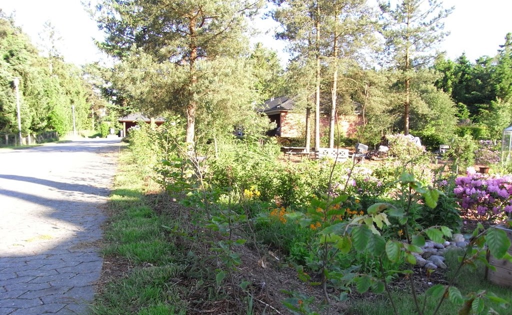 Havelykke's blog: Sommerterrasse og udekøkken