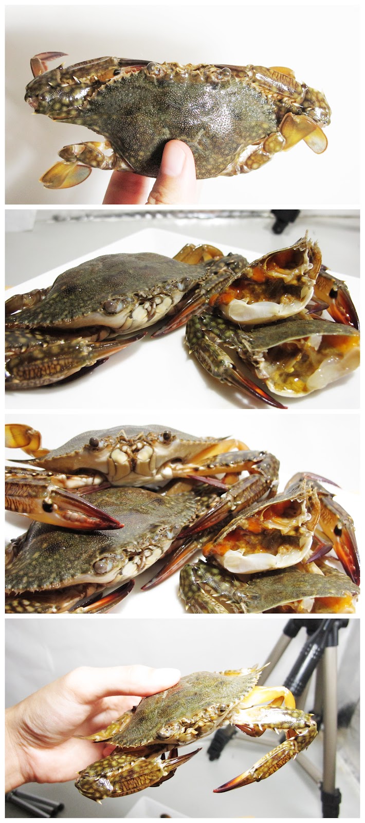 KitchenAholics Salted Crab