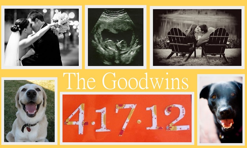 The Goodwins