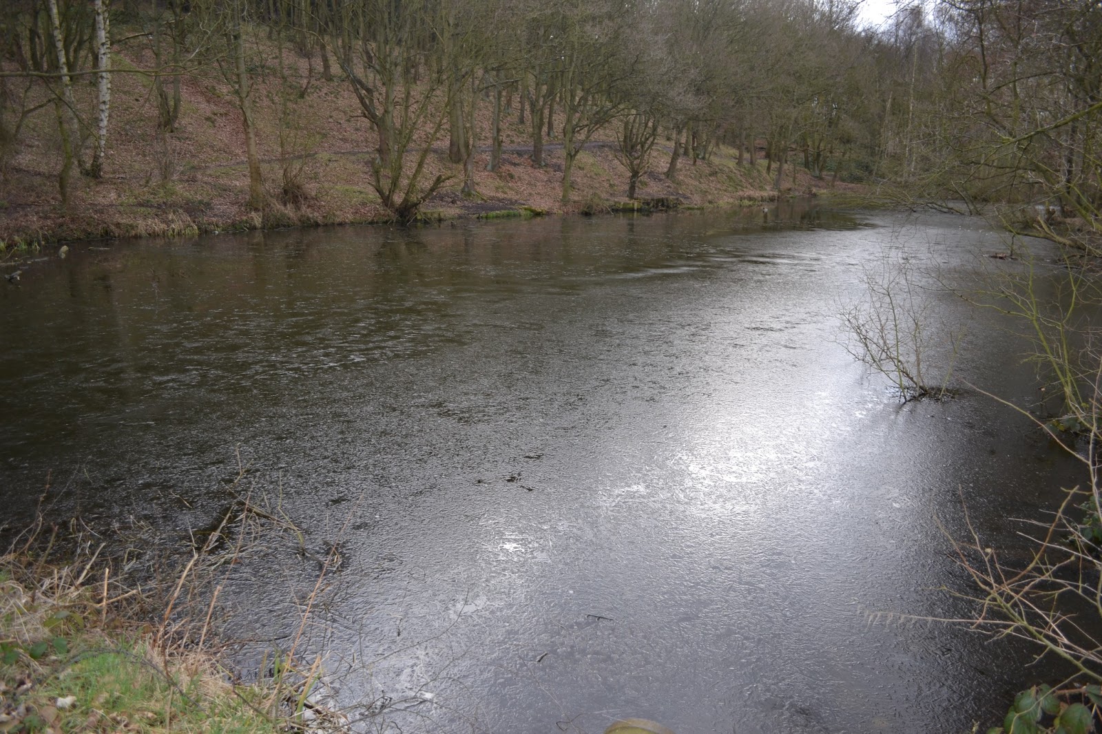 Archaeology and History of Medieval Sherwood Forest Clipstone Peel and