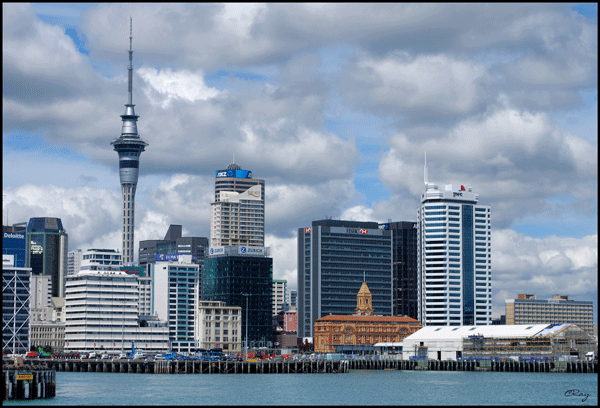 Auckland Skyline from the water with Sky Tower and old ferry bldg.