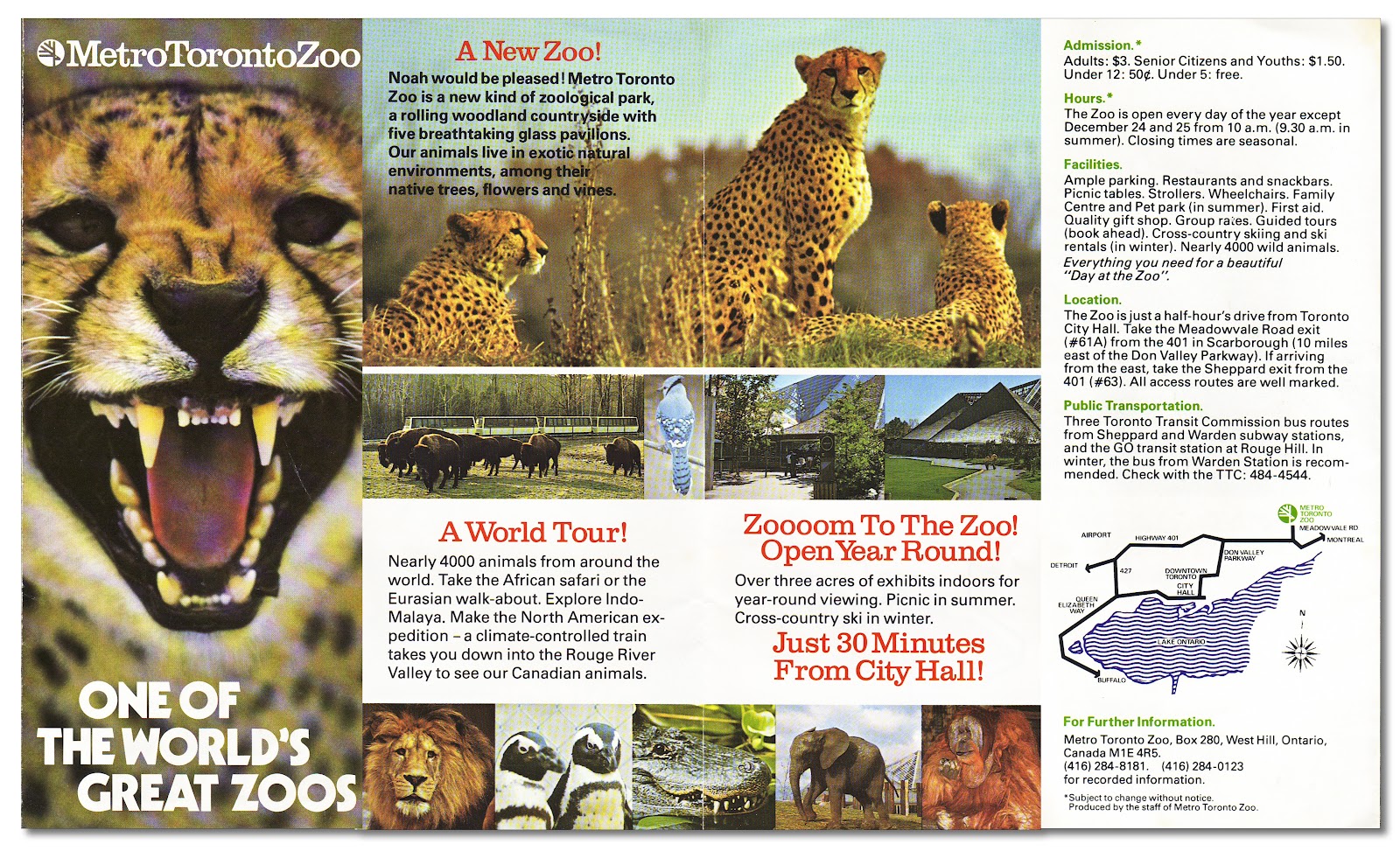 Cheap book reports format