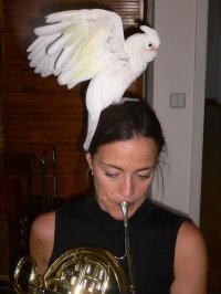 Sarah Willis