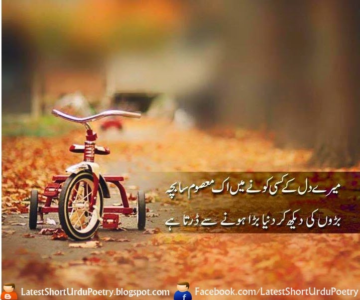 Bara Hony Se Darta Hai Fresh Urdu Poetry, Love Urdu Poetry, Urdu