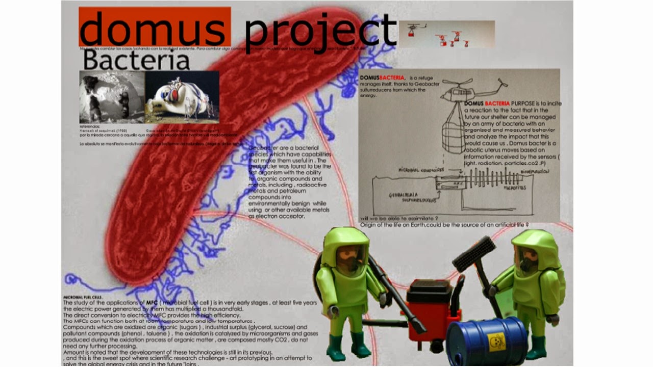 domus bacter project