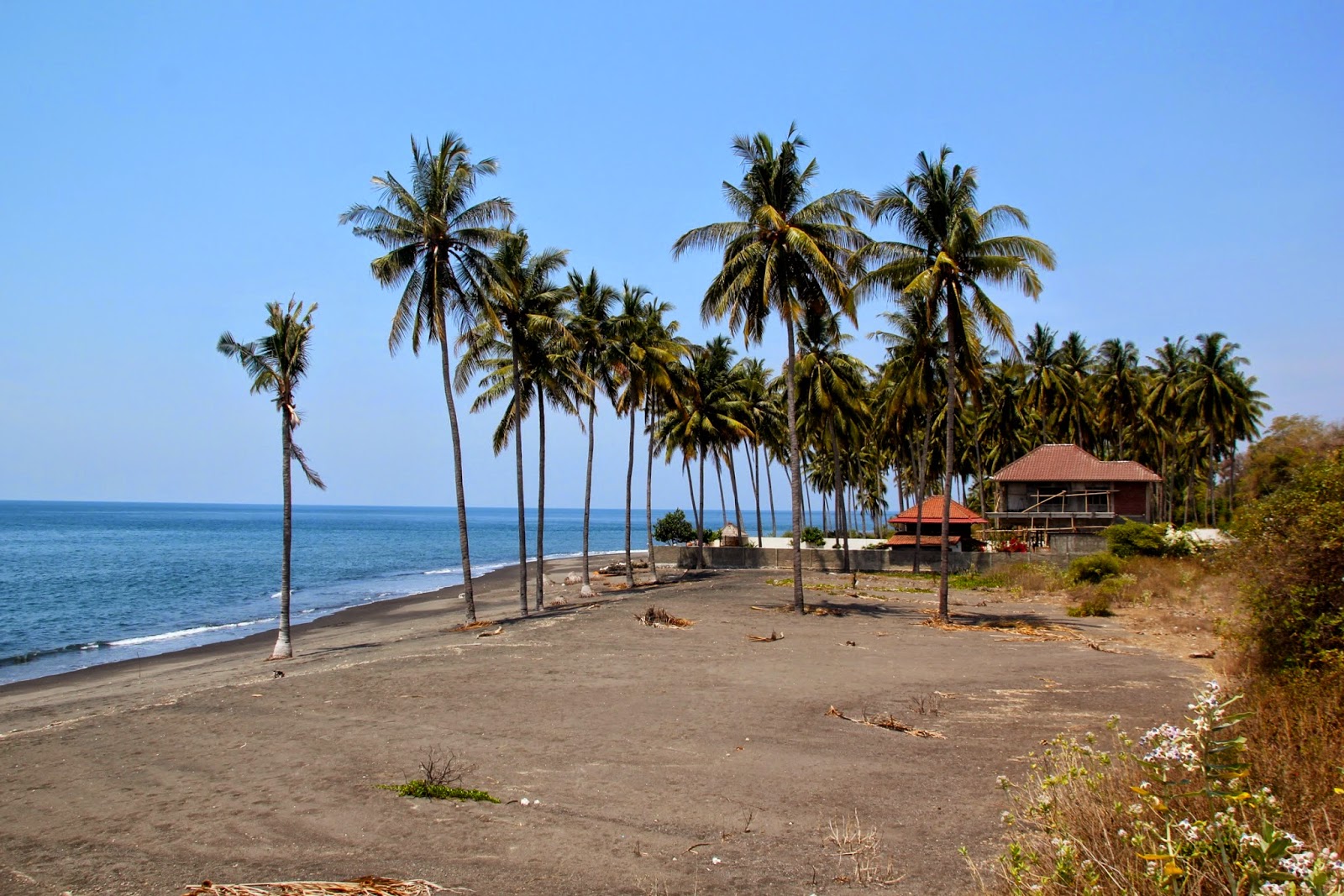 Leonie Lowenherz Page 21 Chan 9606447 Rssing Com