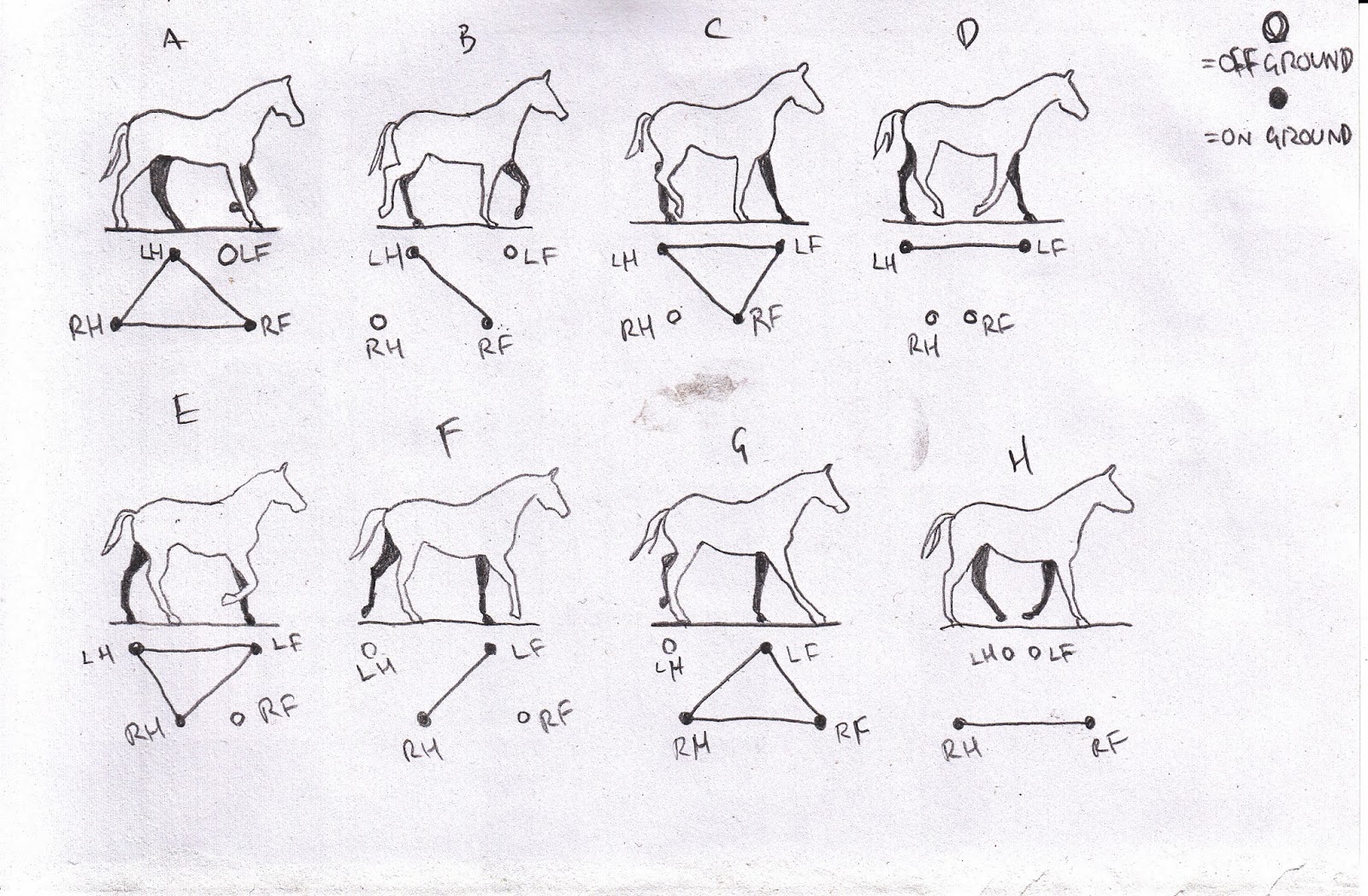 Advanced Animation Skills Workshop