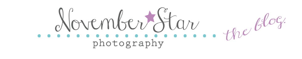 November Star Photography Blog
