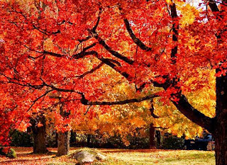 paesaggio autunnale