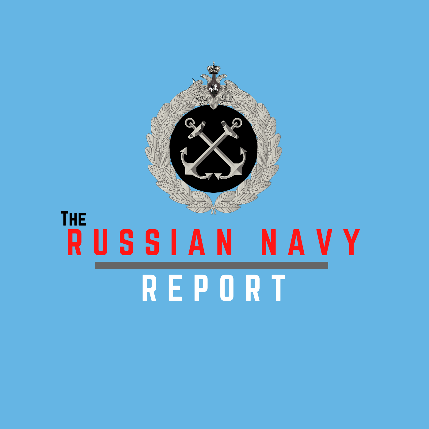 The Russian Navy Report