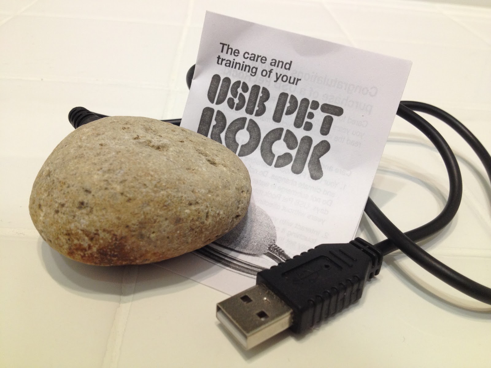 Care Your Pet Rock Manual Pdf