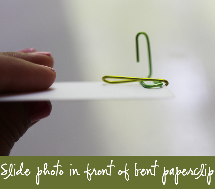 Little Luck Tree DIY Paper Clip Picture Frames
