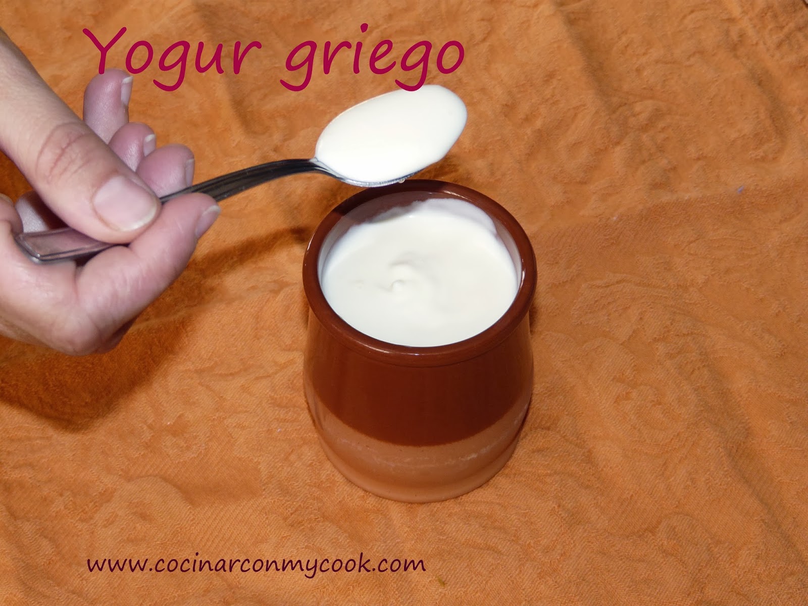 Cocinar con MyCook YOGUR GRIEGO