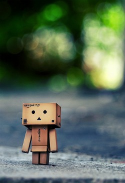 DANBO(L)