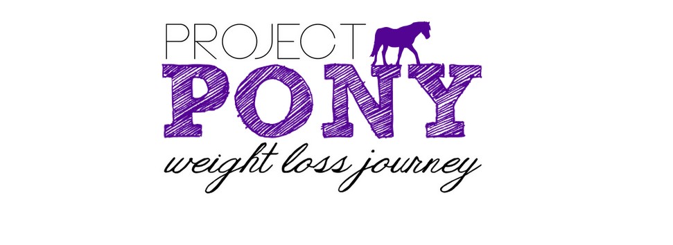 Project Pony 2012-2013