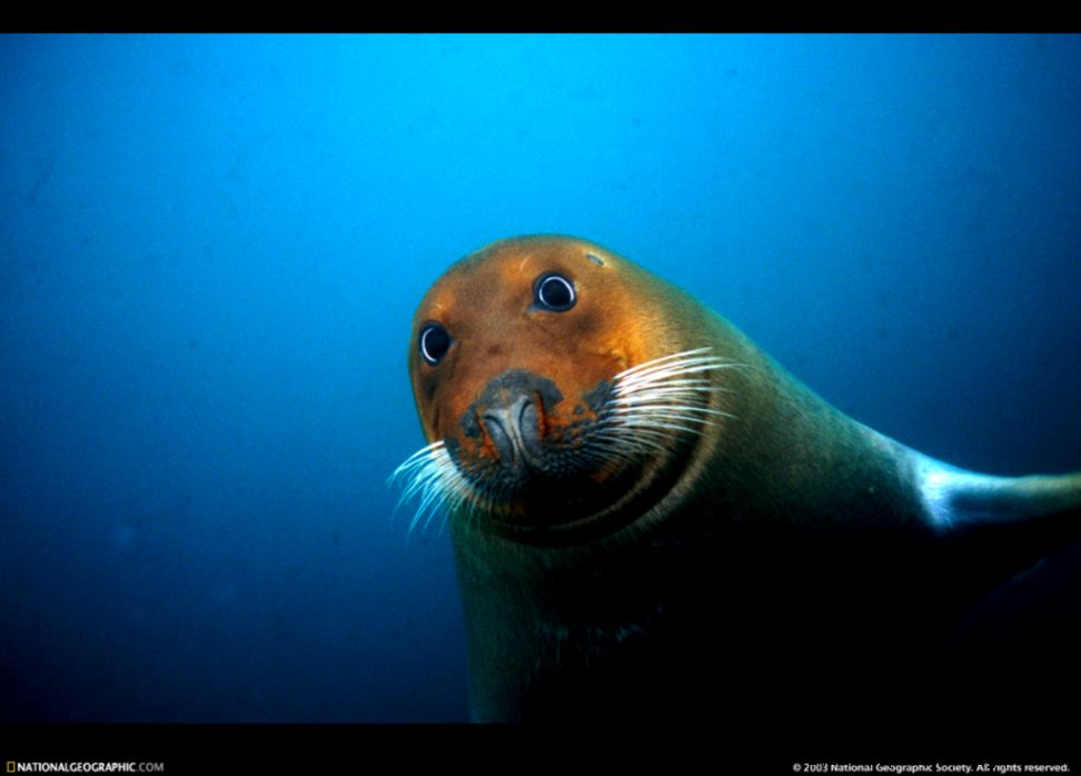 NATIONAL GEOGRAPHIC PHOTOS – BEST 2 of 4 XarJ Blog and Podcast NATIONAL GEOGRAPHIC PHOTOS – BEST 2 of 4 XarJ Blog and Podcast