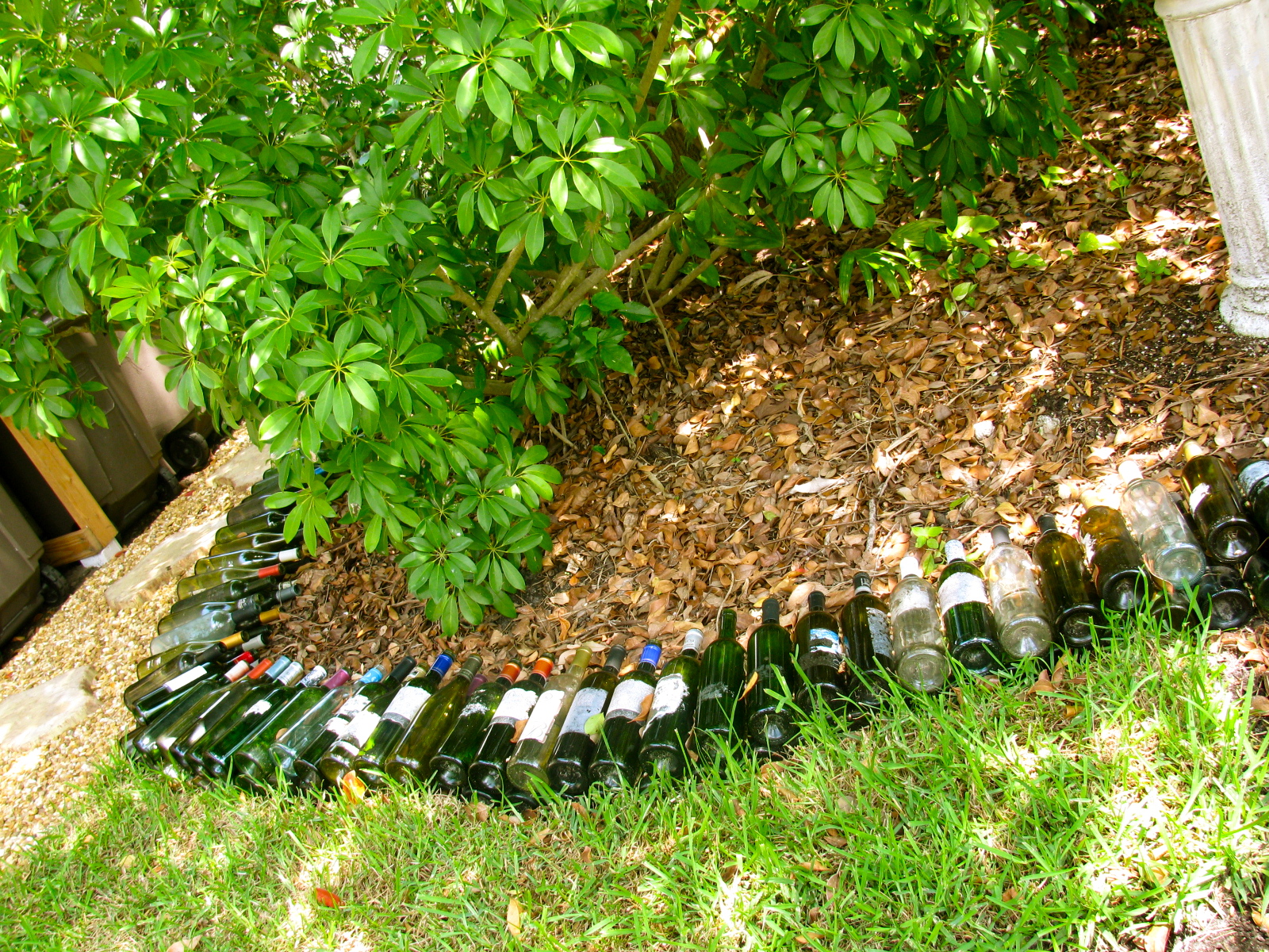MAY DAYS Wine Bottle Garden Border