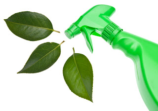 Progressive Charlestown: Eco-Friendly Ways to Clean Your Home