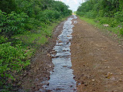 Escoamento de água de chuva na caatinga